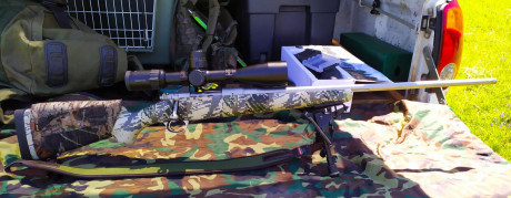 Un amigo vende esto:


 Rifle Kimber Mountain Ascent, en calibre 270WSM, el rifle habra tirado unas 3 00