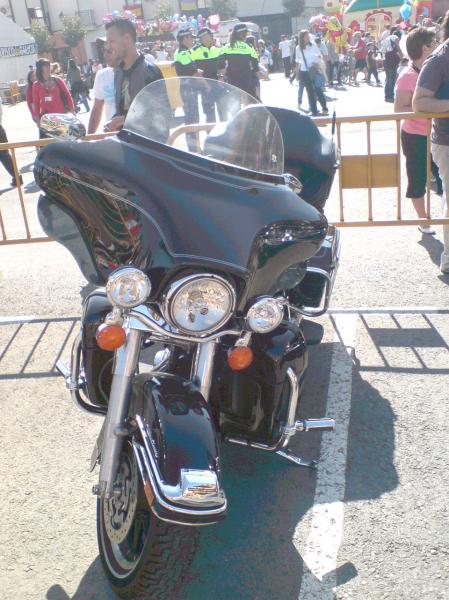 Hola compis, con motivo de la Fiestas Patronales en Honor a la Virgen del Rosario, el ayuntamiento ha 80