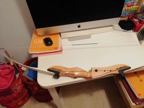 Buenas noches, vendo arco y equipo de iniciación apenas usado.

Saludos 00