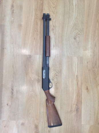 . 81
