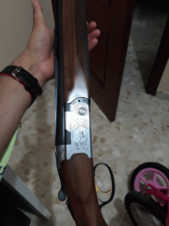 Buenas, 
Pongo a la venta escopeta Beretta 687 Silver Pigeon Modelo Sporting de 71 cm de cañón, calibre 20