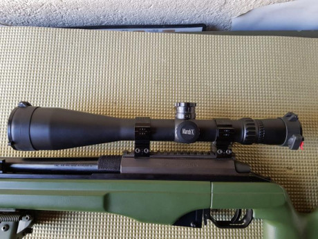 Mi amigo Autopropulsado vende su March Deon 8x8x56, con muy pocos tiros... Usado en fines de semana ocasionales 01