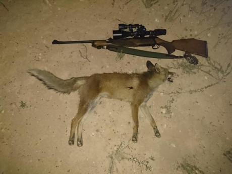 Hoi e estado haciendo unas pruebas de agrupación con diferentes  cargas y un desastre total mientras más 122