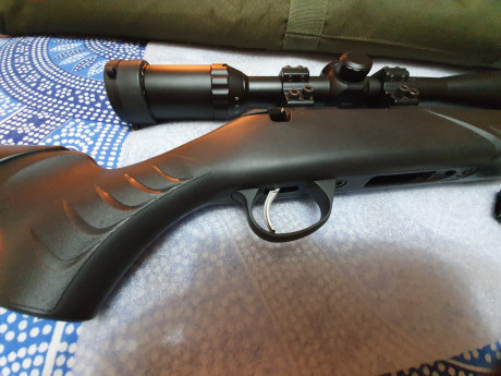 Pues eso vendo mi sako quad heavy barrel  del 0.22 especial para br50 , varmin lijero o sporter muy bien 02