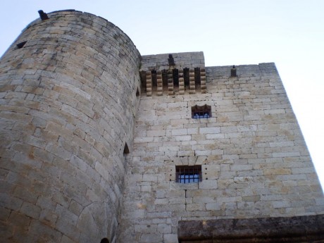 No se a vosotros, pero a mi los castillos me encantan.
Cuando paso delante de alguno no pierdo oportunidad 152