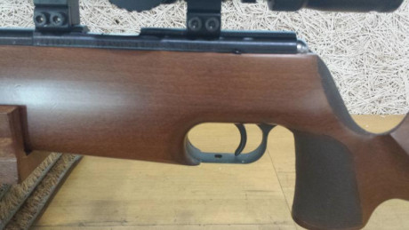 Hola Vendo Anschütz 64 Match .22Lr preparada para BR50 
 500€ portes no incluidos . (Visor no incluido).
También 11