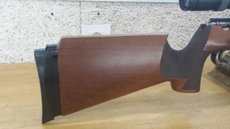 Hola Vendo Anschütz 64 Match .22Lr preparada para BR50 
 500€ portes no incluidos . (Visor no incluido).
También 31