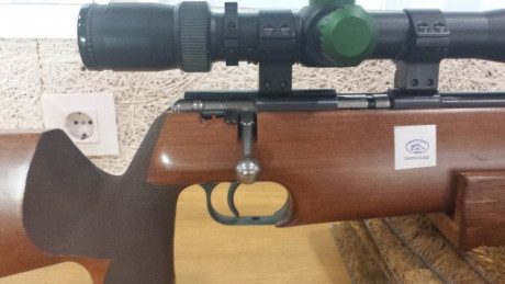 Hola Vendo Anschütz 64 Match .22Lr preparada para BR50 
 500€ portes no incluidos . (Visor no incluido).
También 30