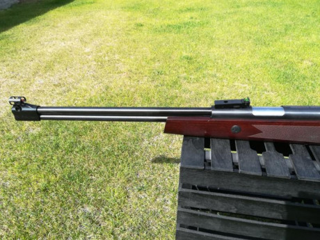 Hola, por varios y diferentes motivos tengo que vender todas mis carabinas de pistón.
Estas carabinas 10