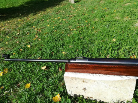 Hola, por varios y diferentes motivos tengo que vender todas mis carabinas de pistón.
Estas carabinas 20