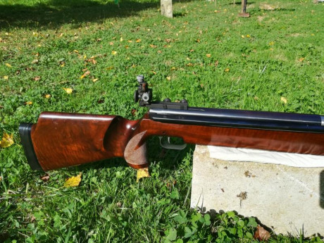 Hola, por varios y diferentes motivos tengo que vender todas mis carabinas de pistón.
Estas carabinas 30