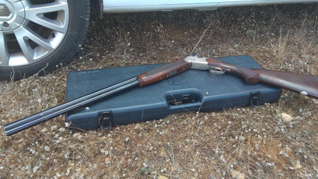 Vendo beretta 687 silver pigeon 3 calibre 20. Cañon 71 y mobilchokes. Maletin original. La escopeta esta 10