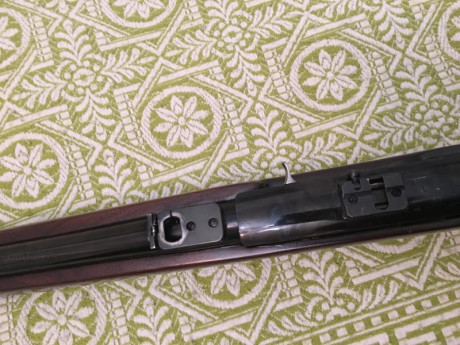 Hola vendo ruger cal.44 por no usarlo,lo monté todo y solo e salido al monte 1 día!!! incluido en el precio 00