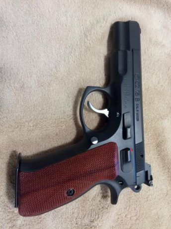 Buenas tardes

Por abandono del tiro, vendo CZ 75B con mira LPA, dos cargadores, maleta CZ, cachas cocobolo.
En 00