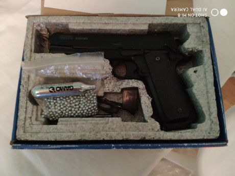 Hola

Vendo pistola sigsauer GSR de sigarms CO2 de bolas de acero,con poco uso
Incluyo adaptador para 01