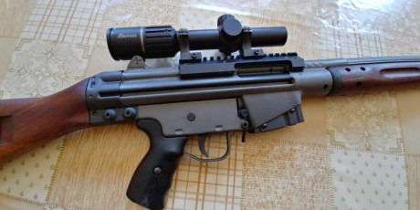 Vendo Cetme modelo C calibre 307 W con visor Burris RT 1-6x24  reticula iluminada con muy buena nitidez, 01