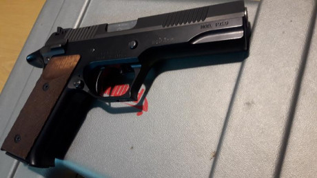 Bueno, pues se ofrece una Pardini PC9 de 5" y en un estado muy bueno.
Su precisión es muy buena en 00