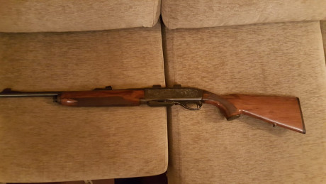 Hola 

Me pide un amigo que ponga en venta su rifle.
Es un Remington mod. 7400 carabine en calibre 30.06.
Se 01