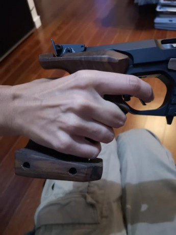 Vendo la pistola TESRO TS 22 de mi mujer, el motivo es que se metió por mi en el tiro y no le acaba de 160