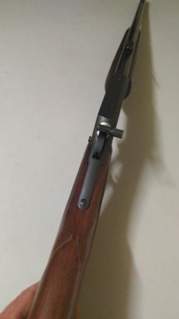 Compro rifle palanquero Marlin 1895 en calibre 45-70 goverment. Si es la versión de 18.5 pulgadas mejor. 20