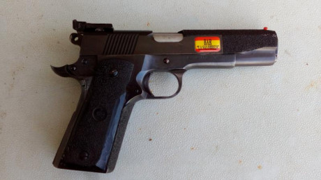 Cambiaria por revolver de 6 pulgadas o pistola Libre Pistola 9 mm P      3 cargadores 15 y funda de extracion 12