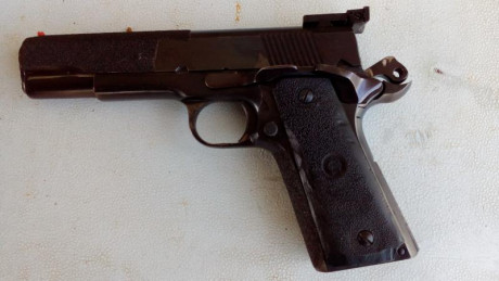 Cambiaria por revolver de 6 pulgadas o pistola Libre Pistola 9 mm P      3 cargadores 15 y funda de extracion 11
