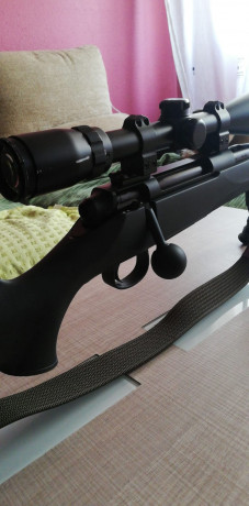 Hola compañeros cambio estos dos rifles estan impecables un rossi Puma 454 casull con carril y punto rojo 11