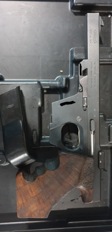SE VENDE WALTHER GSP 32 y KIT del 22lr LLEVA DOS CARGADORES DE CADA UNO
EL ARMA COMO PODÉIS VER EN LAS 11