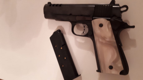 Buenas noches,

Vendo para hacer hueco para otros proyectos una magnífica pistola Griffon 45 acp 1911, 12