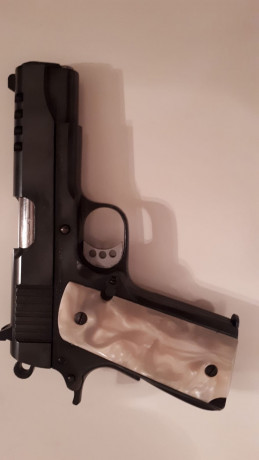 Buenas noches,

Vendo para hacer hueco para otros proyectos una magnífica pistola Griffon 45 acp 1911, 11