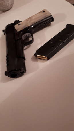 Buenas noches,

Vendo para hacer hueco para otros proyectos una magnífica pistola Griffon 45 acp 1911, 20