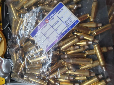 100 Vainas 6,5 Creedmoor sin usar nuevas lapua small rifle primer ( piston pequeño) 95€  con envio a península 00