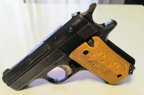 Se vende Star HN, 9 corto con un solo cargador.
Guiada en A.
Se puede ver y probar en La Coruña.
130 euros 00