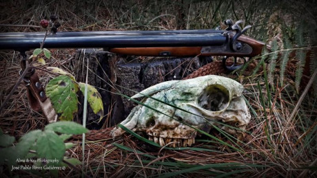  Amigos, viendo que hay interés general en la práctica de la caza con armas de avancarga, abrimos este 111