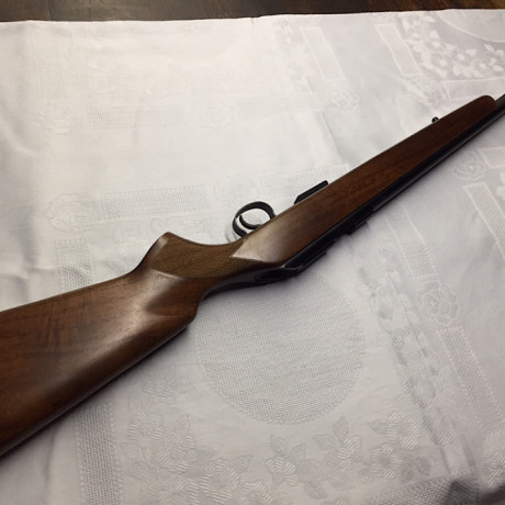 Hola

Pongo mi 455 varmint a la venta. Al estar guiado en "D" ( rifle ), y la misma es del 17Hmr, 02