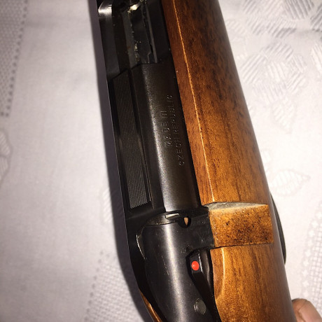 Hola

Pongo mi 455 varmint a la venta. Al estar guiado en "D" ( rifle ), y la misma es del 17Hmr, 22