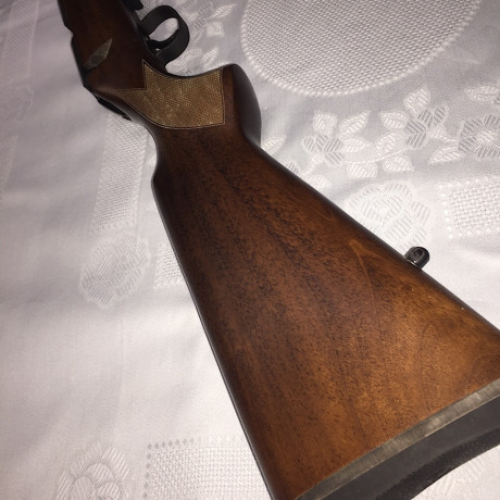 Hola

Pongo mi 455 varmint a la venta. Al estar guiado en "D" ( rifle ), y la misma es del 17Hmr, 31