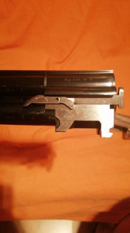 Hola compañeros.
Tengo una Franchi Barrage trap desde hace años, y me gustaría desmontar los expulsores 60