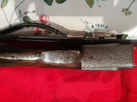 Vendo mi escopeta : GAMBA SAN FCO.
Características: Cañón de acero Boehler de 71cm., con 4 poli choques 00