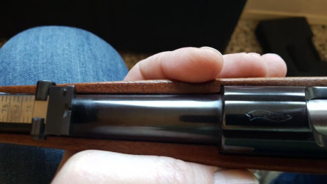 Whalter KKJ cal .22 LR en Perfecto estado el precio serían 325 eur y esta en provincia de Barcelona 
Saludos 02