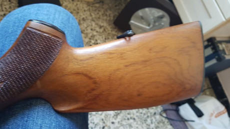 Whalter KKJ cal .22 LR en Perfecto estado el precio serían 325 eur y esta en provincia de Barcelona 
Saludos 00