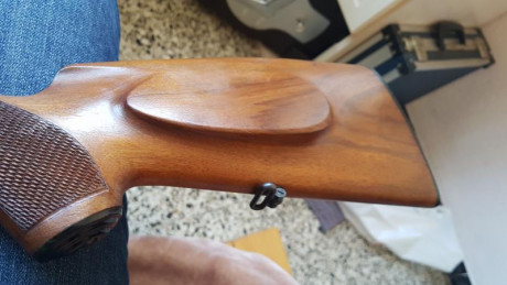 Whalter KKJ cal .22 LR en Perfecto estado el precio serían 325 eur y esta en provincia de Barcelona 
Saludos 10