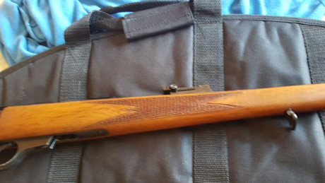 Whalter KKJ cal .22 LR en Perfecto estado el precio serían 325 eur y esta en provincia de Barcelona 
Saludos 22