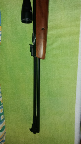 Vendo carabina Webley Eclipse calibre 6.35mm, absolutamente impecable, de colección, su precio es de 225.-, 02