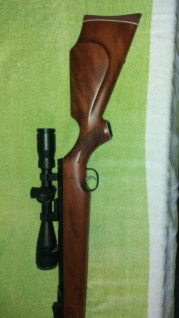 Vendo carabina Webley Eclipse calibre 6.35mm, absolutamente impecable, de colección, su precio es de 225.-, 01