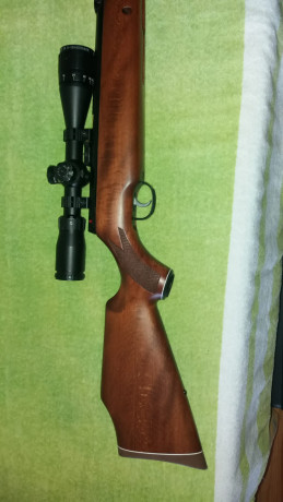 Vendo carabina Webley Eclipse calibre 6.35mm, absolutamente impecable, de colección, su precio es de 225.-, 00