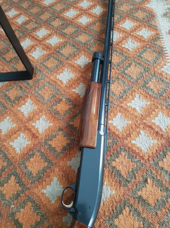 Vendo Browning BPS cal.12 magnum version caza cañon de 71 cm con vanda ventilada, chokes de 1, 3 y 5*. 00