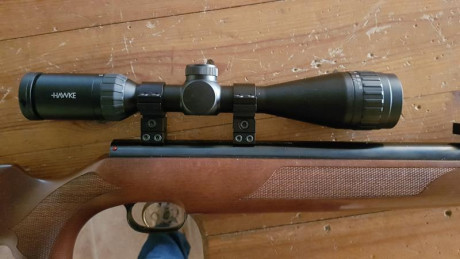 Bueno, el caso es que he decidido prepararme una carabina weirhauch 95 para competir en hunting, para 12