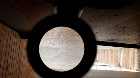 Bueno, el caso es que he decidido prepararme una carabina weirhauch 95 para competir en hunting, para 11