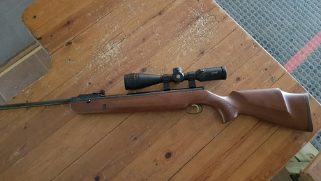 Bueno, el caso es que he decidido prepararme una carabina weirhauch 95 para competir en hunting, para 10